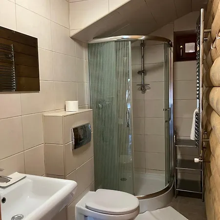 U Wozniaka Apartment Koscielisko