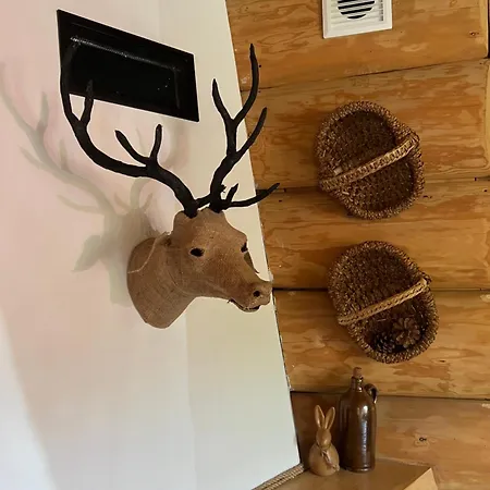 U Wozniaka * Kościelisko