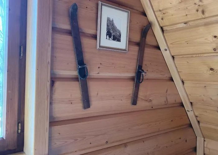 公寓 U Wozniaka 考斯赛力克