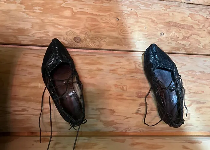 公寓 U Wozniaka 考斯赛力克