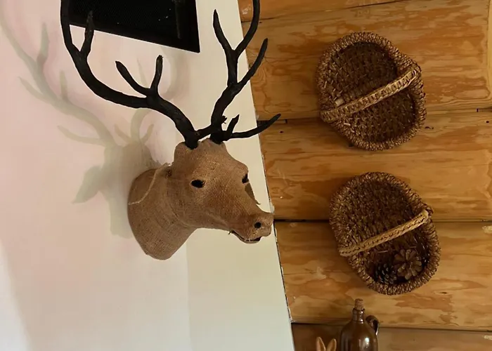 U Wozniaka * 考斯赛力克