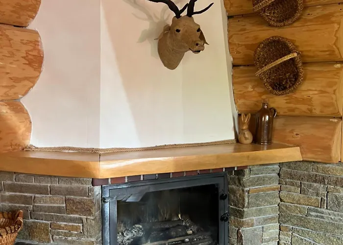 U Wozniaka * 考斯赛力克